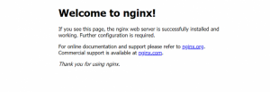 nginx installed