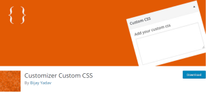 افزونه Customizer Custom CSS