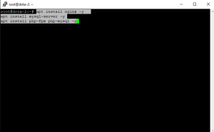 سرور مجازی VPS